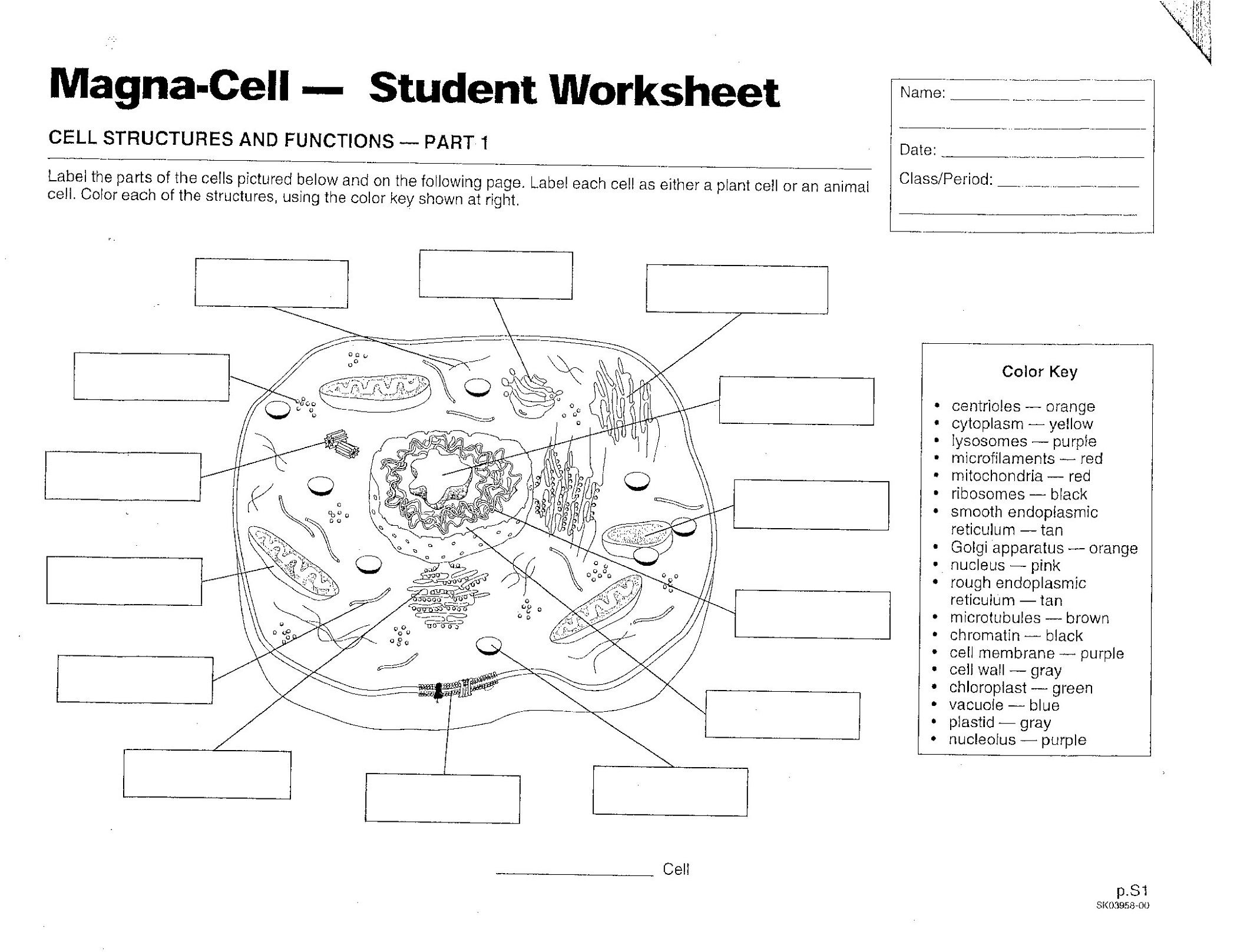Plant And Animal Cell Diagram Worksheet | Printable Diagram - Free Printable Cell Worksheets