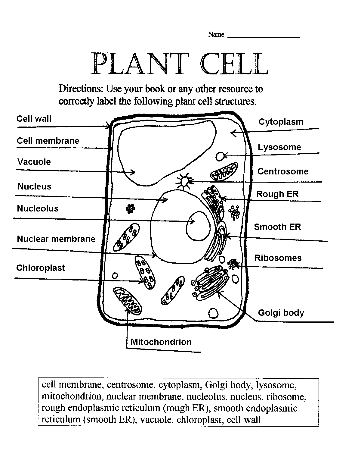 Plant Cell Parts Worksheet With Word Bank | Name What Makes You Tick - Free Printable Cell Worksheets