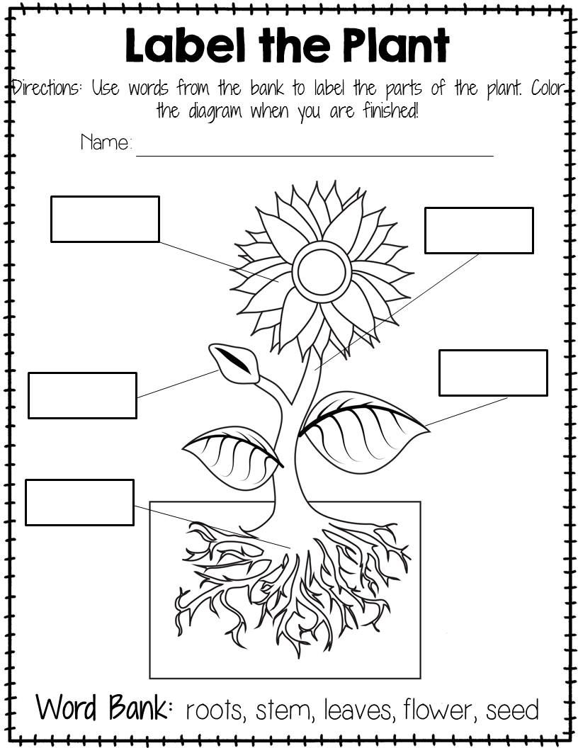 Plant Labeling Worksheet - Free | Freebies - Amanda&amp;#039;s Little - Free Printable Plant Labels