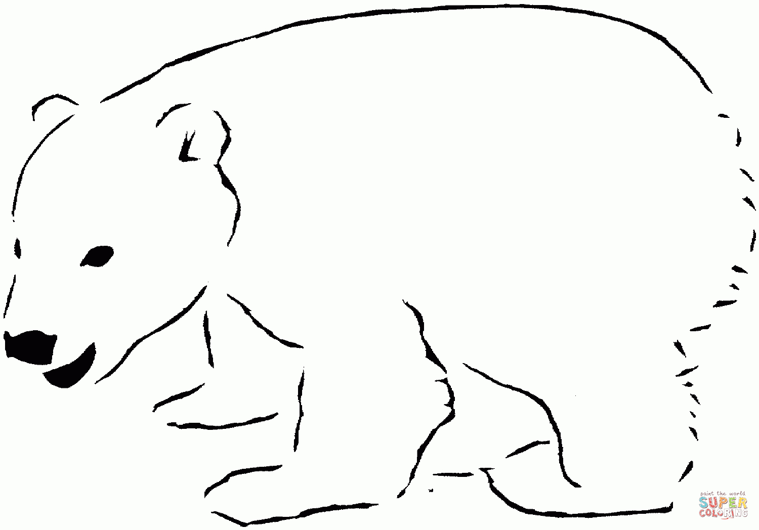 Polar Bear 12 Coloring Page | Free Printable Coloring Pages - Polar Bear Printable Pictures Free