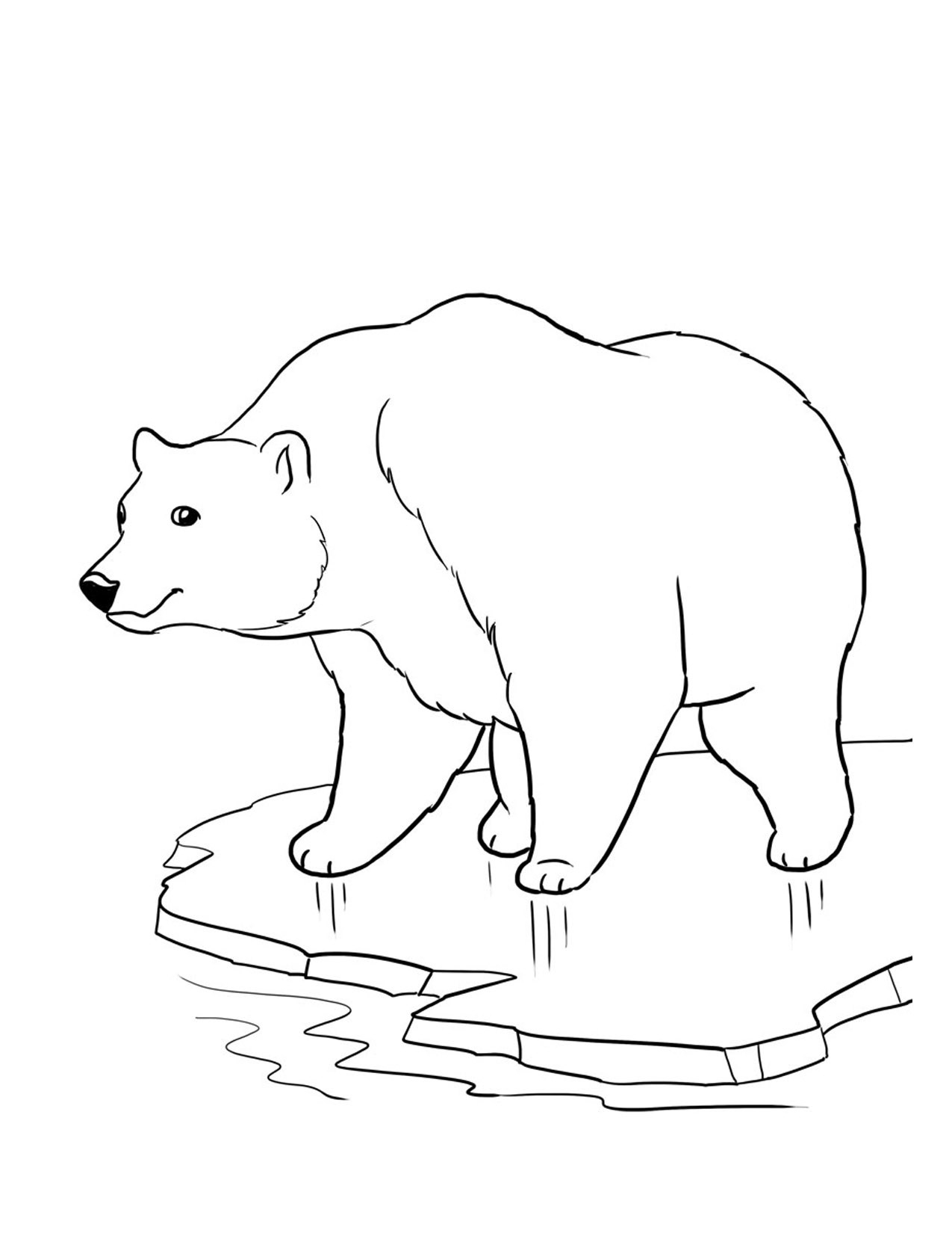 Polar Bears Coloring Pages. Printable Polar Bear Coloring Pages - Polar Bear Printable Pictures Free