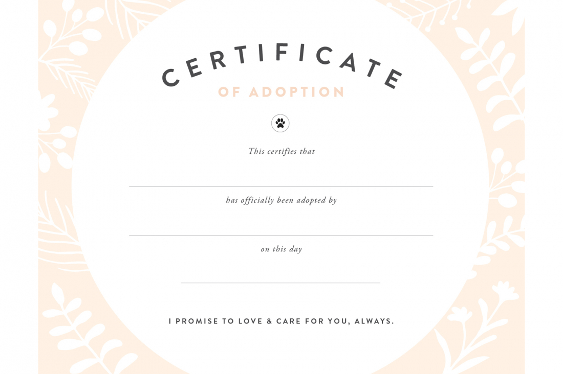 Pretty Fluffy - Free Printable Stuffed Animal Adoption Certificate