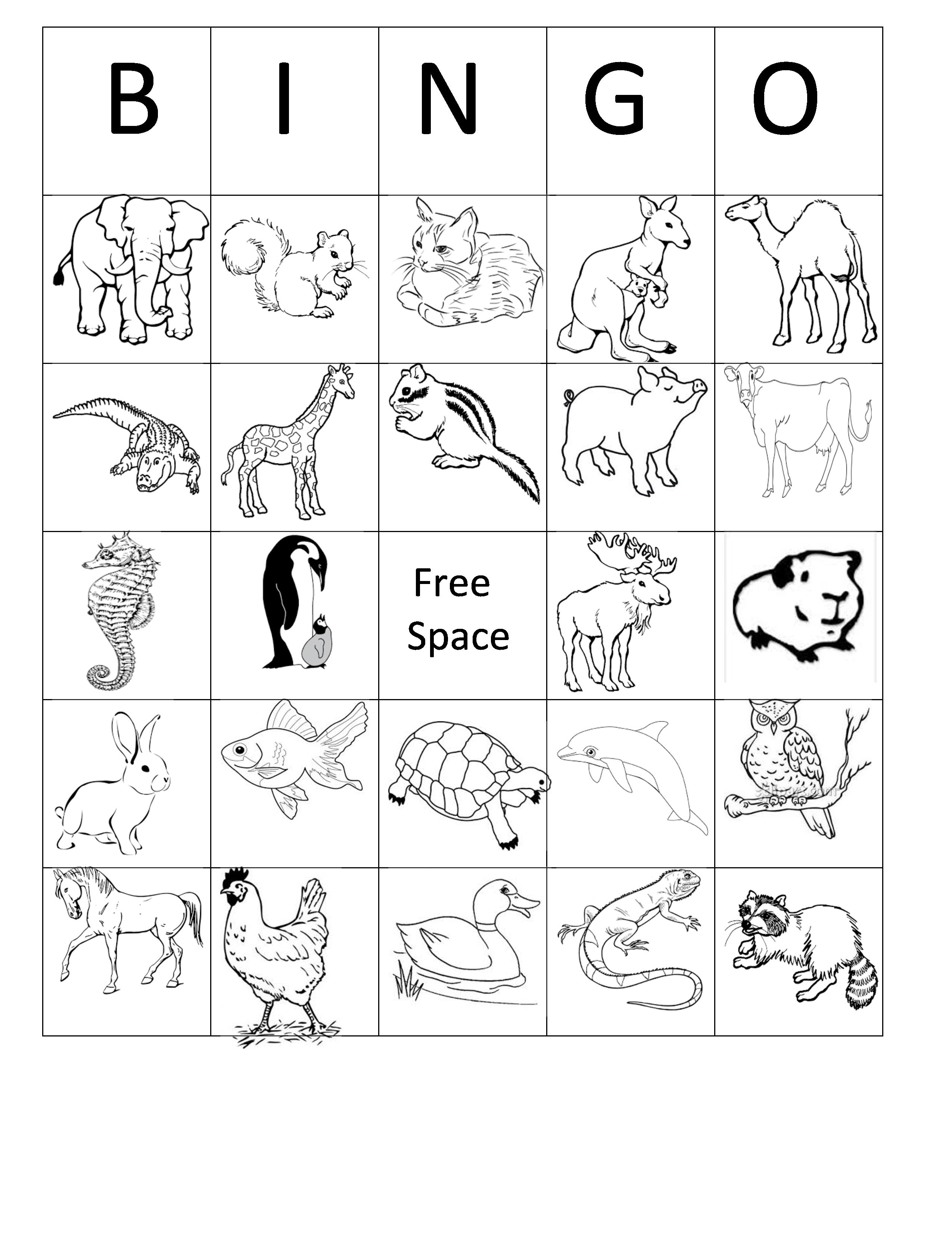 Printable Animal Bingo Card 5 Black And White Coloring Sheet - Free Printable Zoo Worksheets