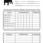 Printable Dog Shot Record Forms | Dog Shot Record | Dog Shots, Dog   Free Printable Dog Shot Records