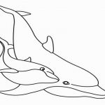 Printable Dolphin Coloring Pages   Free Coloring Sheets   Dolphin Coloring Sheets Free Printable