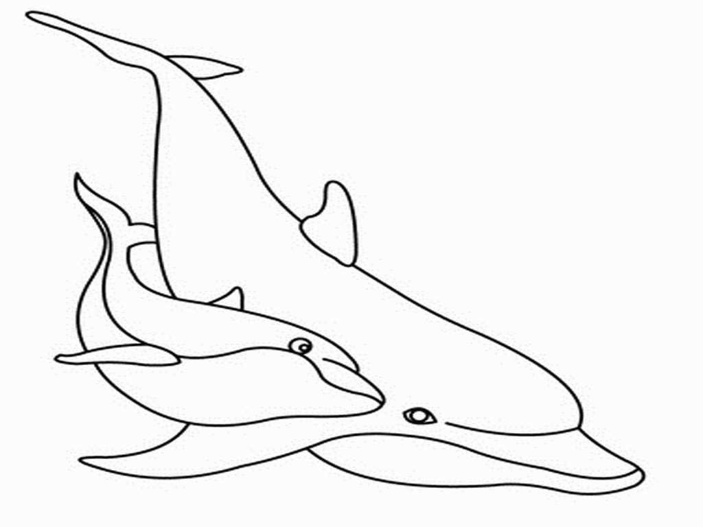 Printable Dolphin Coloring Pages - Free Coloring Sheets - Dolphin Coloring Sheets Free Printable