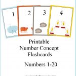 Printable Number Concept Flashcards | Free Number Printables For   Free Printable Number Flashcards 1 30