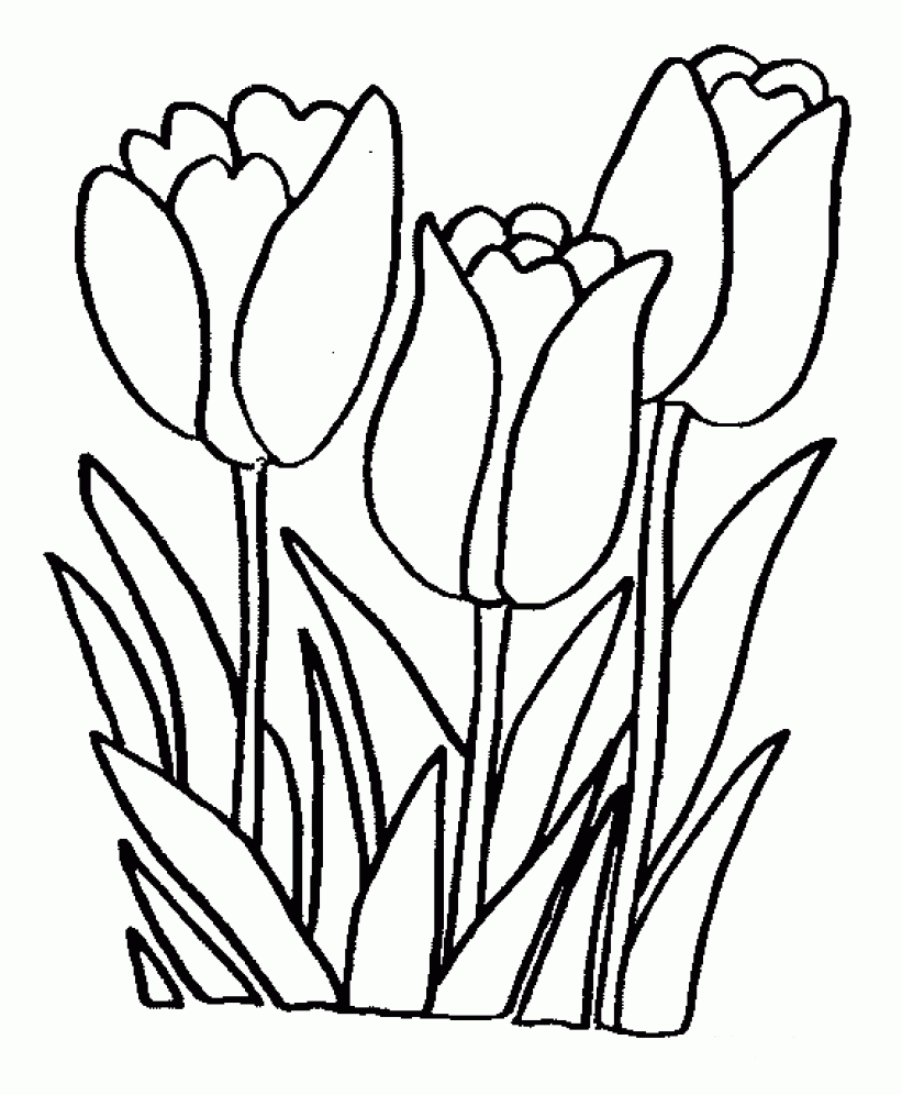 Printable Tulips Flower Coloring Pages | Watercolor | Pinterest - Free Printable Tulip Coloring Pages