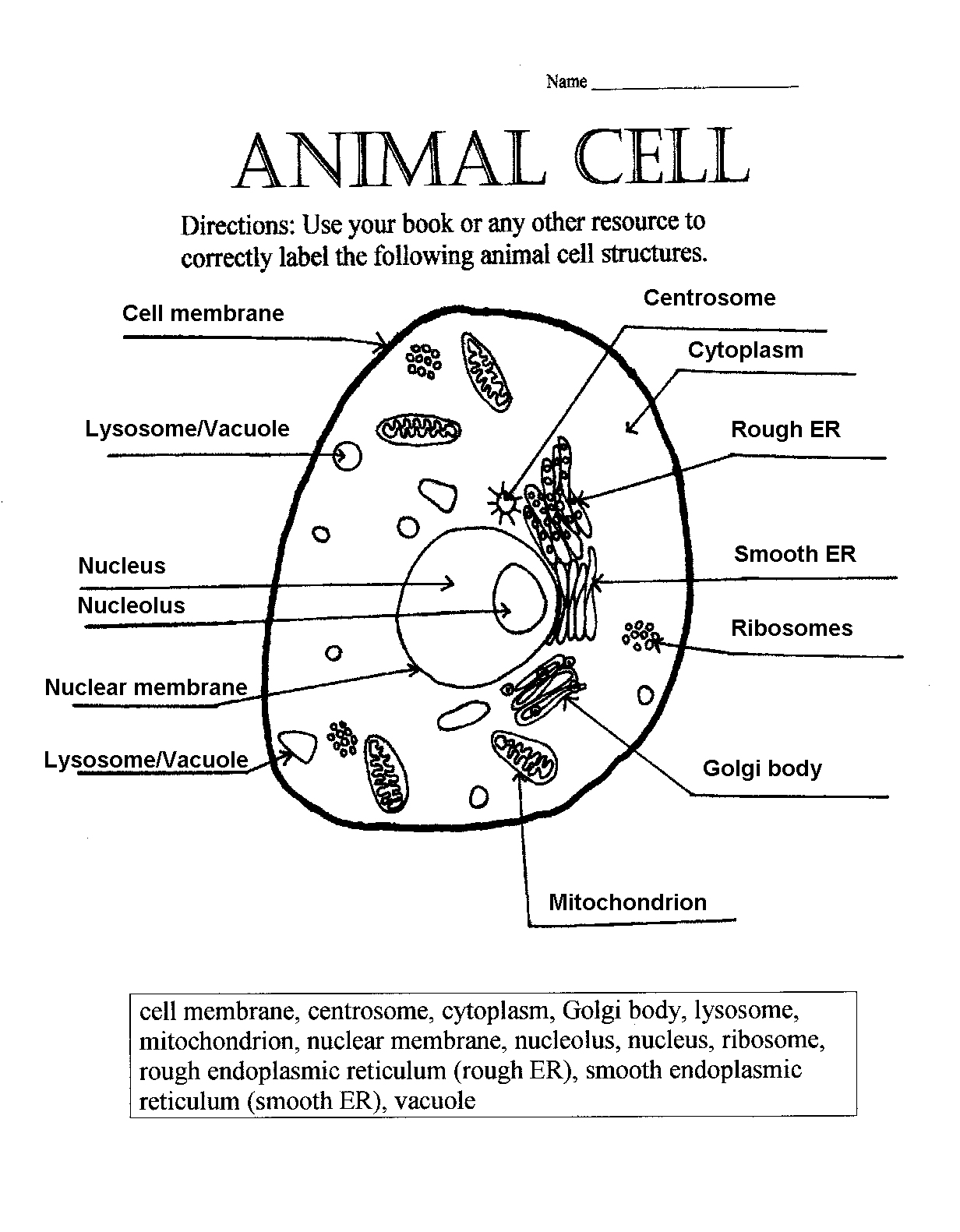 Printables. Plant And Animal Cells Worksheet. Lemonlilyfestival - Free Printable Cell Worksheets