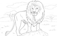 Free Printable Realistic Animal Coloring Pages