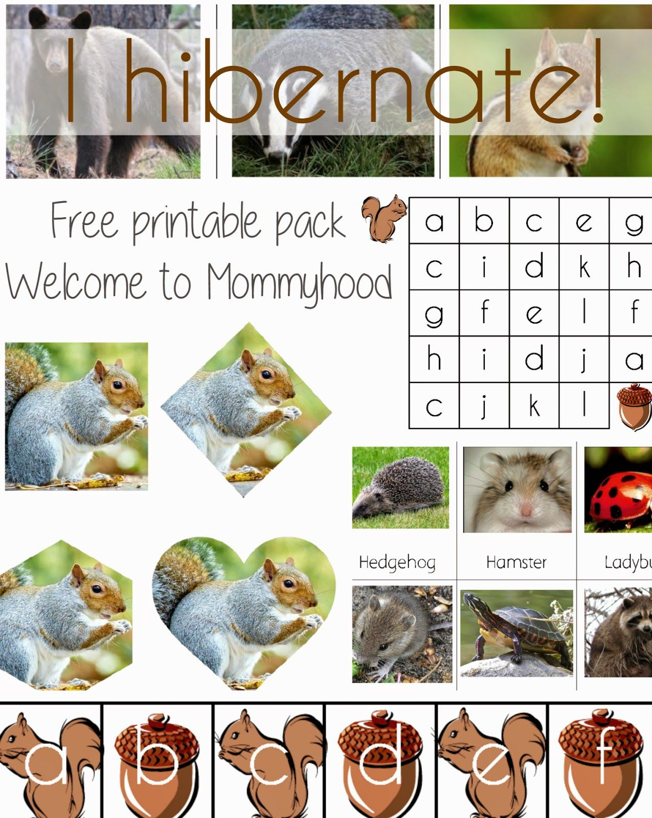 free-printable-hibernation-worksheets-free-printable