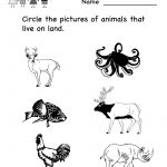Science Printables For Kids Life Animal Worksheet Free   Free Printable Worksheets For Kids Science