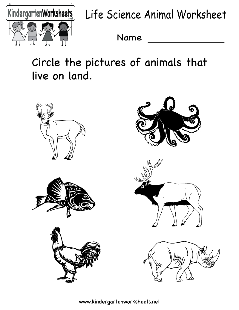 Science Printables For Kids Life Animal Worksheet Free - Free Printable Worksheets For Kids Science