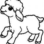 Sheep Coloring Page | Teamshania : Content Coloring Pages For   Free Printable Pictures Of Sheep