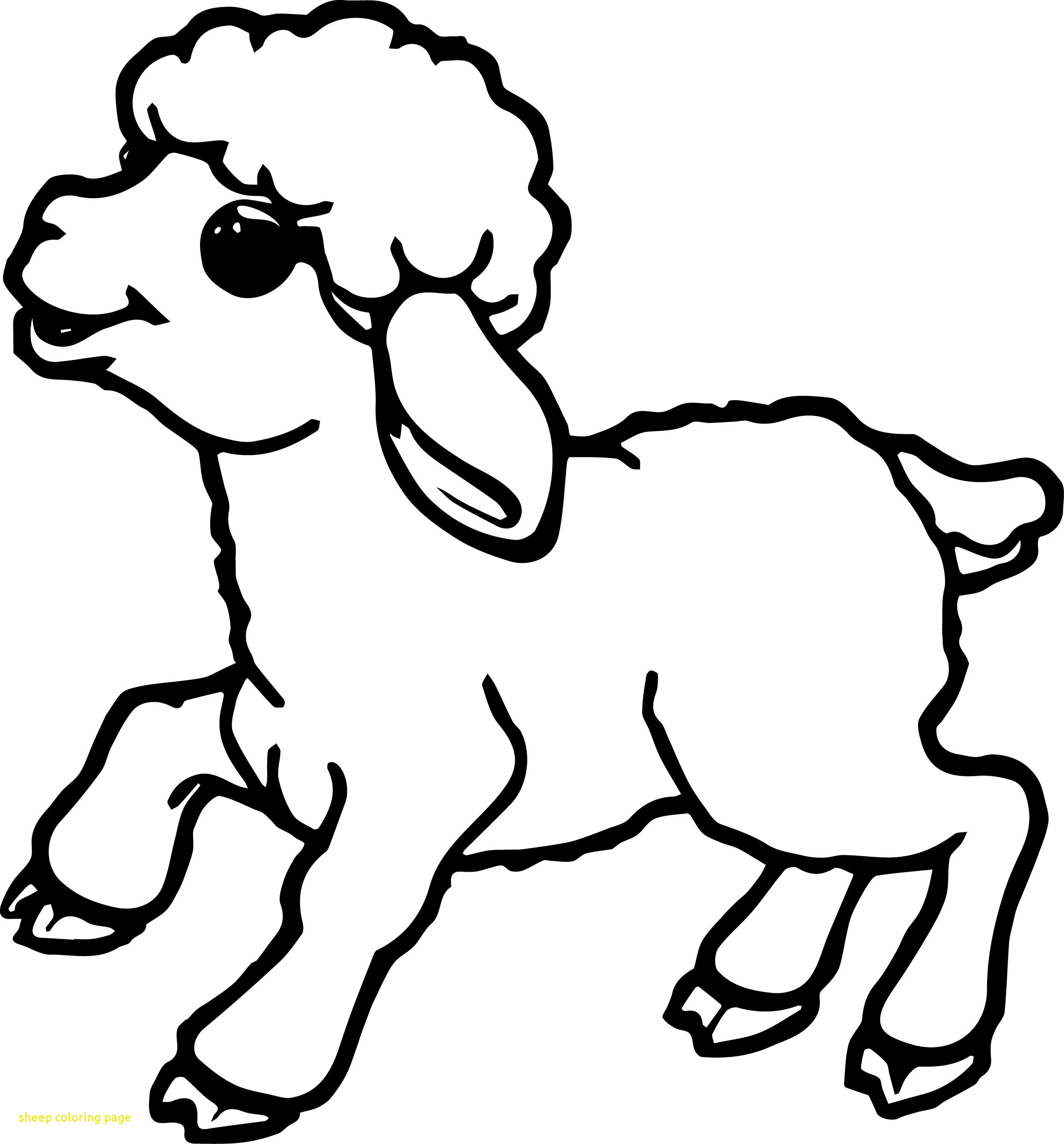 Sheep Coloring Page | Teamshania : Content Coloring Pages For - Free Printable Pictures Of Sheep
