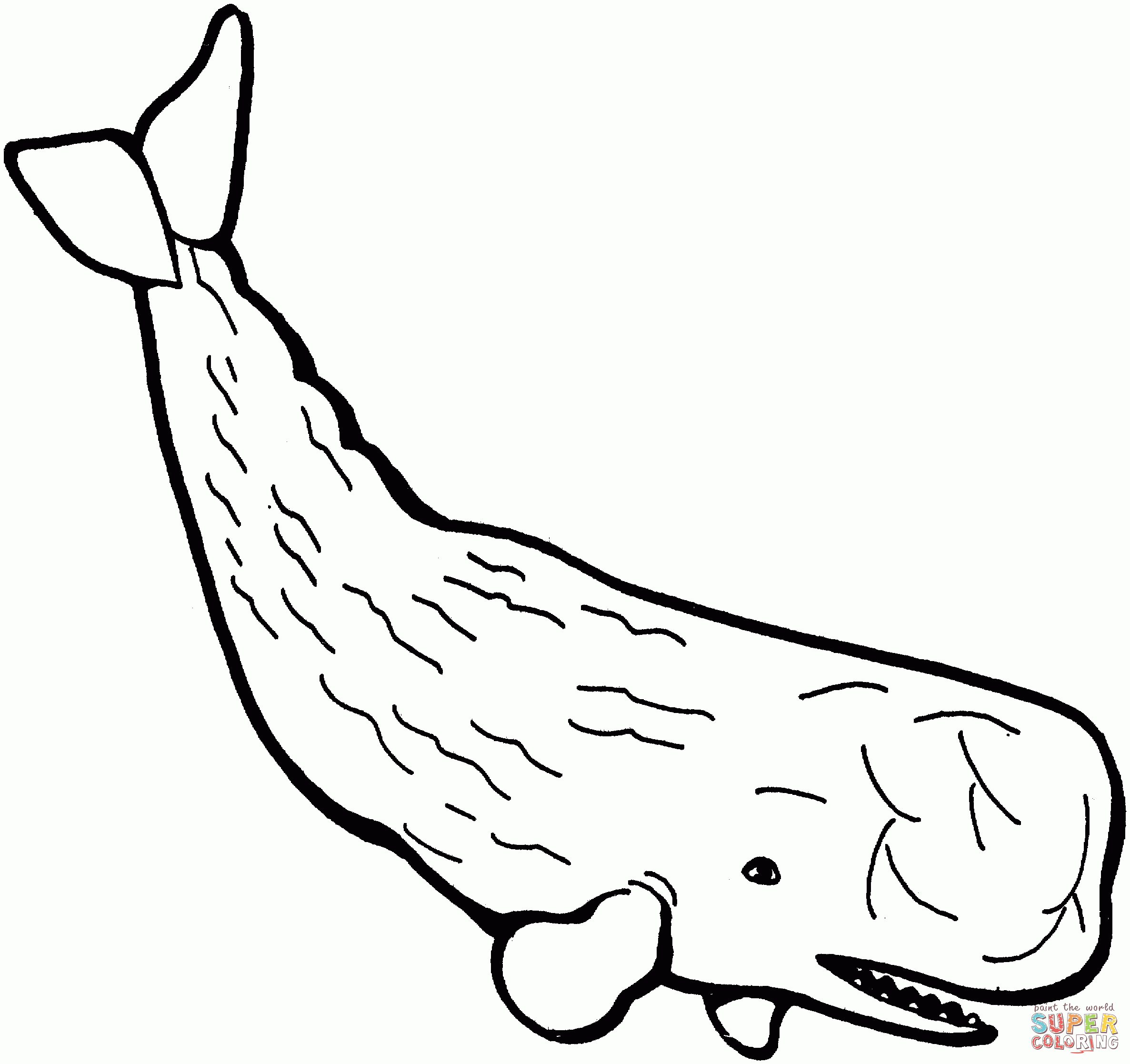 Sperm Whale Coloring Page | Free Printable Coloring Pages - Free Printable Whale Template