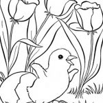 Spring Coloring Pages, Printable Spring Coloring Pages, Free Spring   Spring Coloring Sheets Free Printable