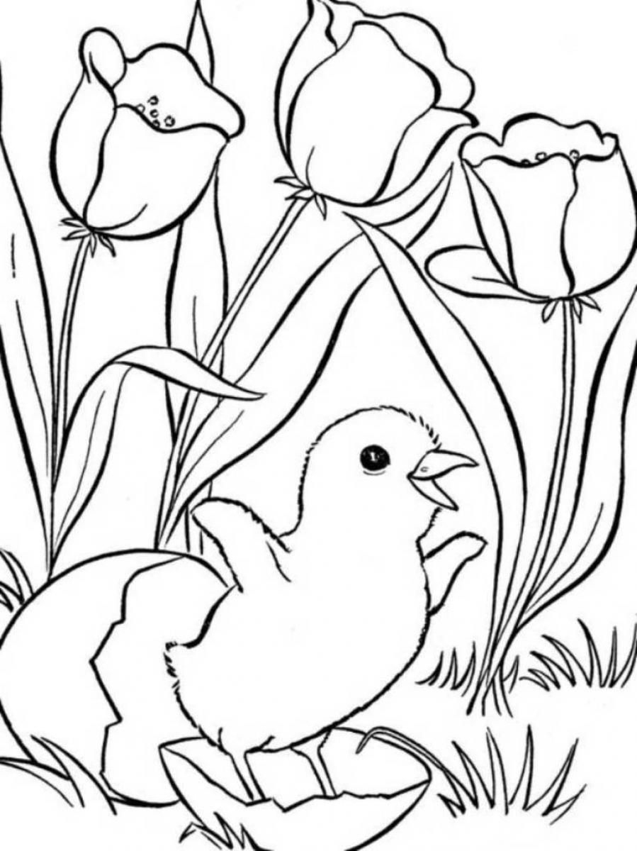 Spring Coloring Pages, Printable Spring Coloring Pages, Free Spring - Spring Coloring Sheets Free Printable