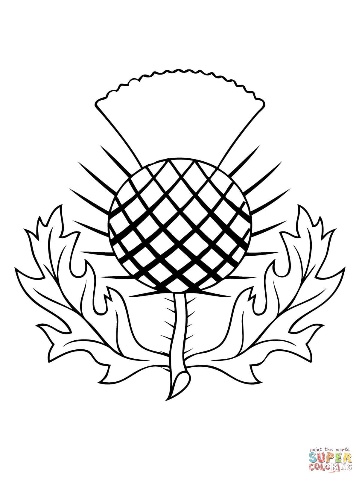 The Thistle Of Scotland Coloring Page | Free Printable Coloring - Free Printable Scottish Flag