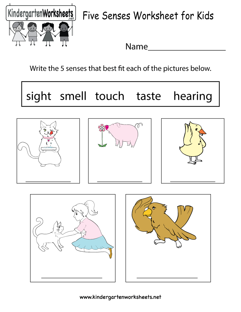 This Is An Easy Way To Learn About Five Senses. You Can Download - Free Printable Worksheets Kindergarten Five Senses