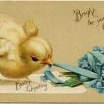 Vintage Easter Chick Postcard ~ Free Digital Image   Old Design Shop   Free Printable Vintage Easter Images