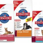 Win 1 Of 500 Free Bags Of Hill's Science Diet Pet Food Sweepstakes   Free Printable Science Diet Coupons